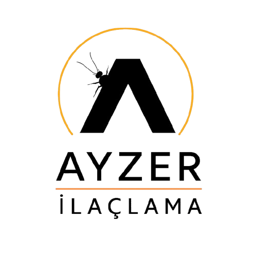 Ayzer Logo